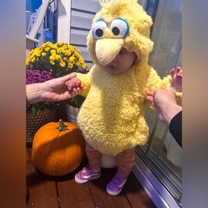 Pottery Barn Big Bird Costume